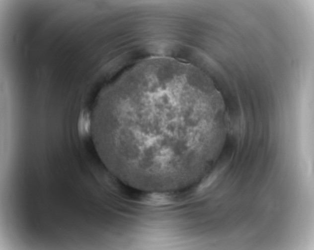 X0000088390095200706051125