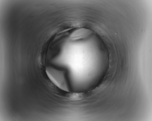 X0000088390096200706051125