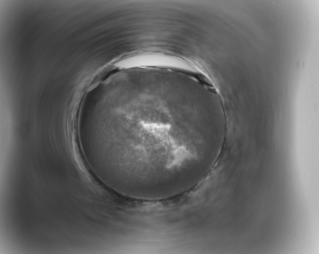 X0000088390097200706051125