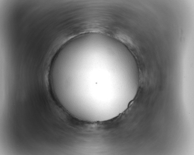 X0000088390098200706051125