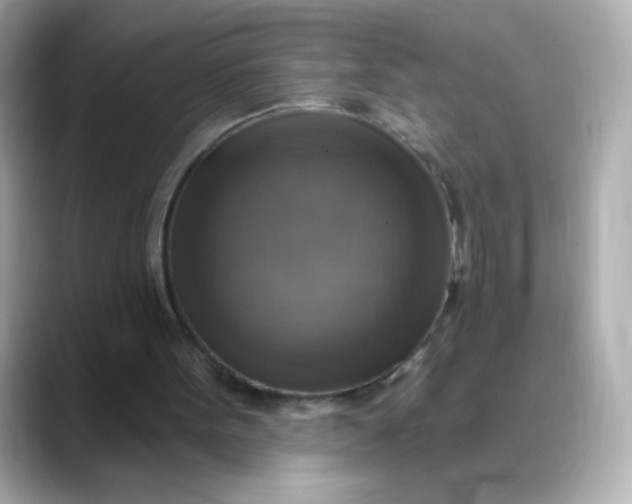 X0000088390099200706051125