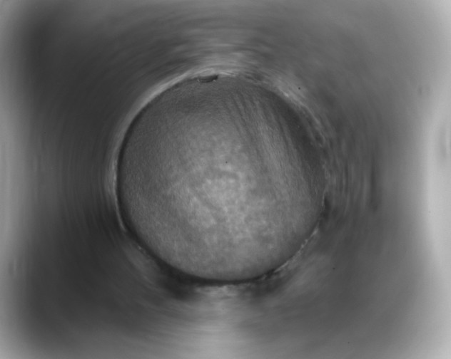 X0000088390100200706051125