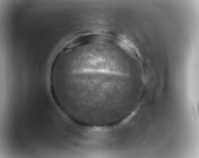 X0000088390101200706051125