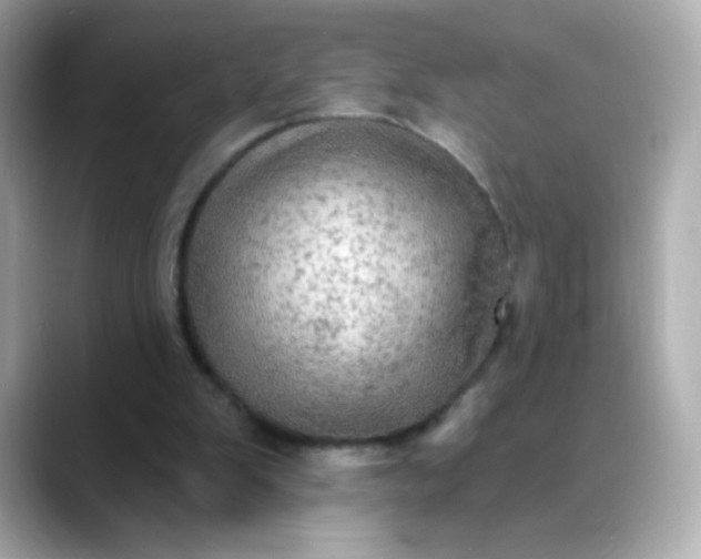 X0000088390103200706051125