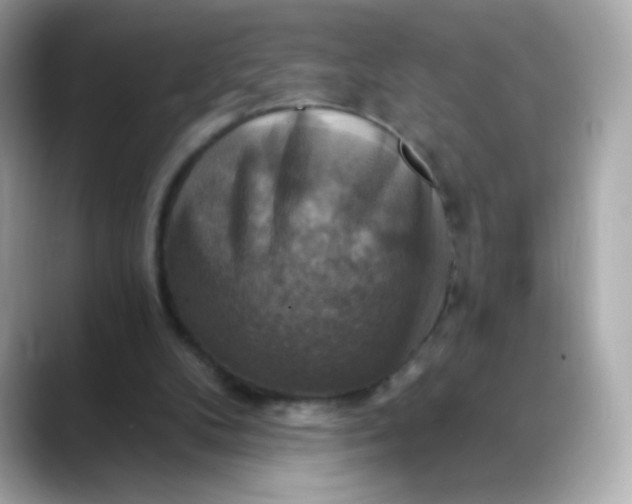 X0000088390104200706051124