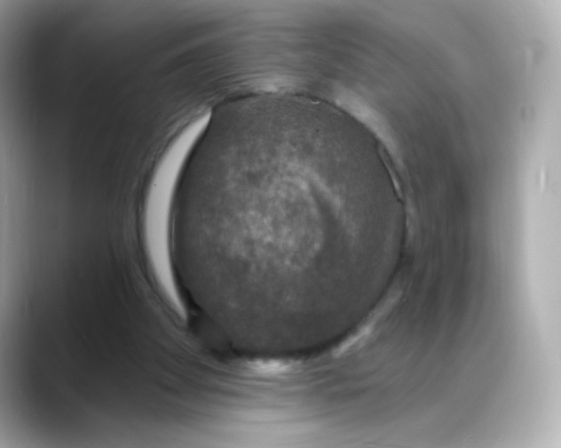 X0000088390105200706051124