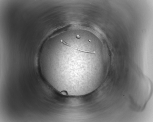 X0000088390106200706051124