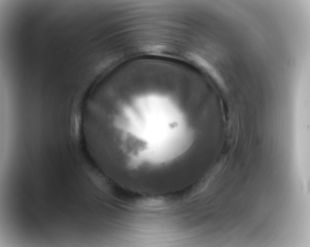 X0000088390110200706051124