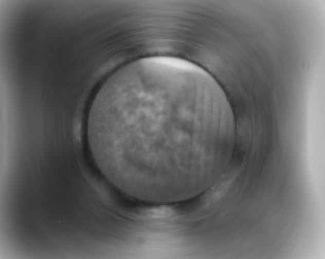 X0000088390112200706051124