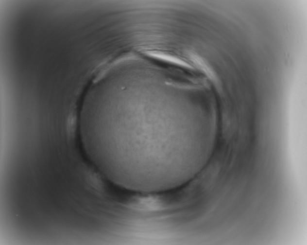 X0000088390113200706051124