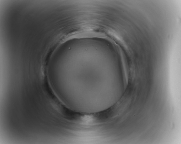 X0000088390114200706051124