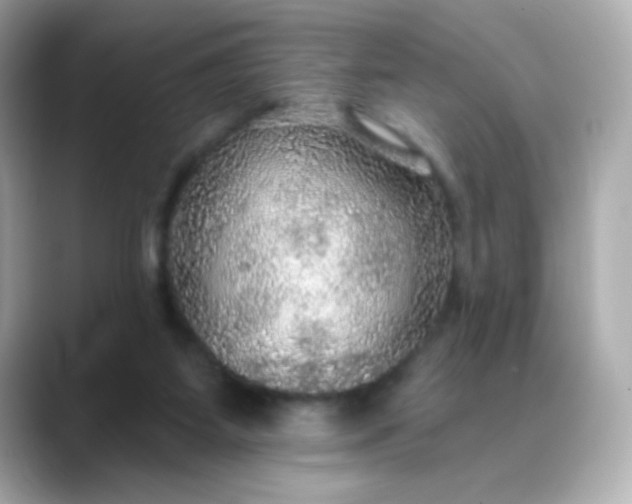 X0000088390115200706051124