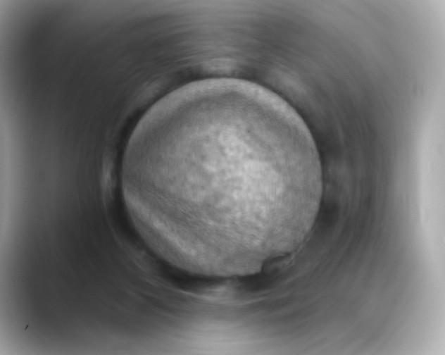 X0000088390116200706051124