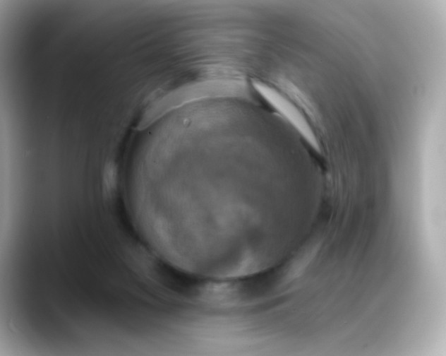 X0000088390117200706051124