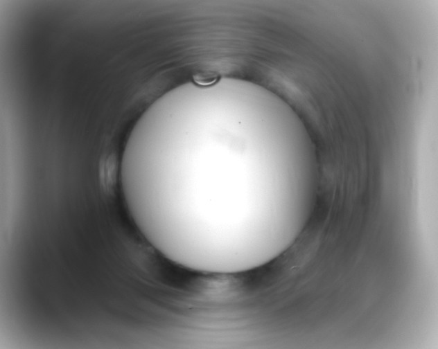 X0000088390118200706051124