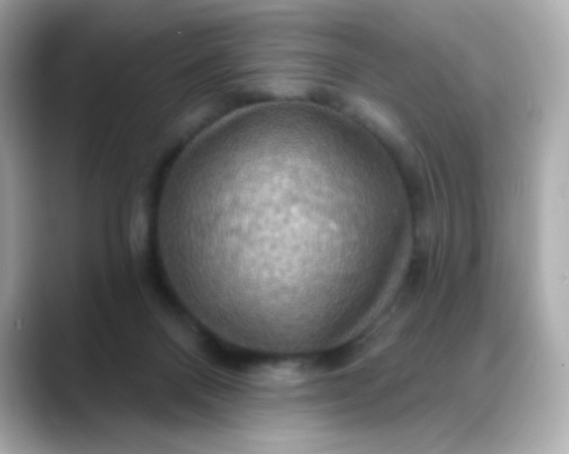 X0000088390120200706051124