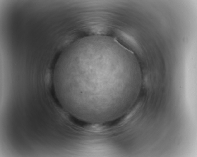 X0000088390121200706051124