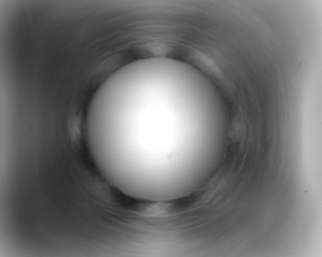 X0000088390122200706051124