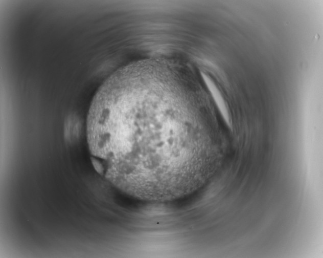 X0000088390123200706051124