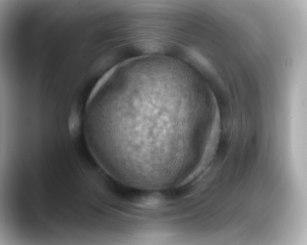 X0000088390124200706051124