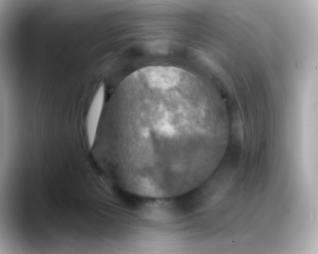 X0000088390125200706051124