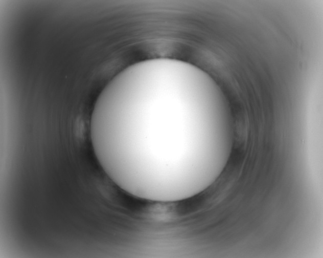 X0000088390126200706051124