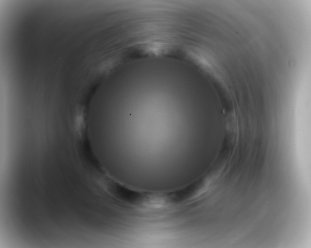 X0000088390127200706051124