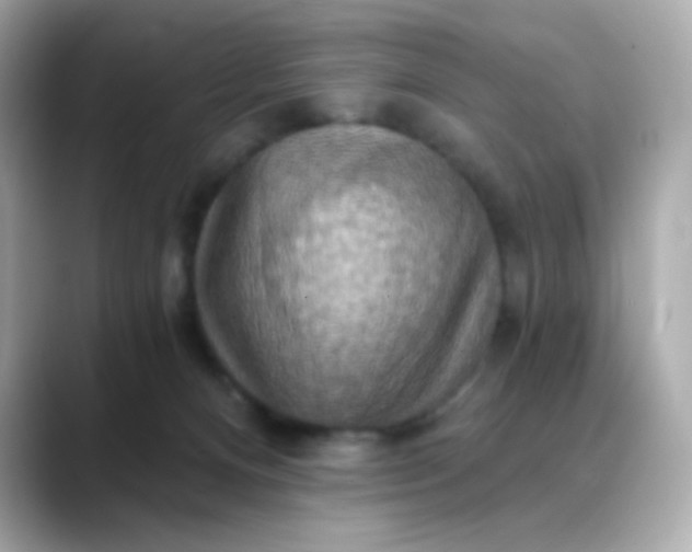 X0000088390128200706051124