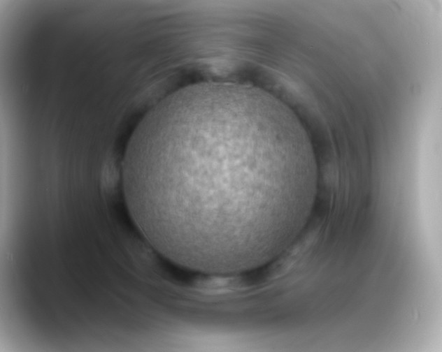 X0000088390129200706051124