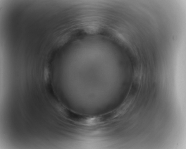 X0000088390130200706051124