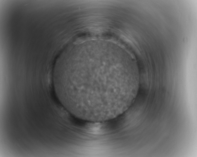 X0000088390131200706051124