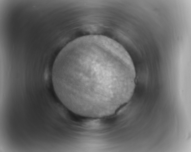 X0000088390132200706051124