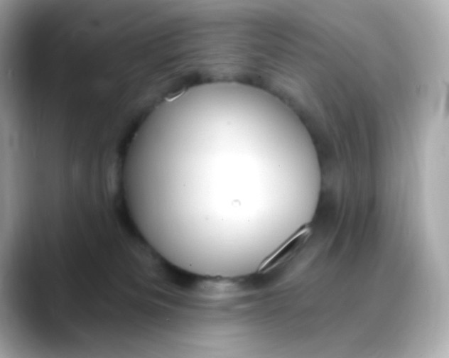 X0000088390133200706051124