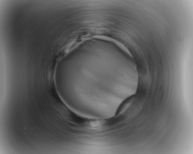 X0000088390134200706051124