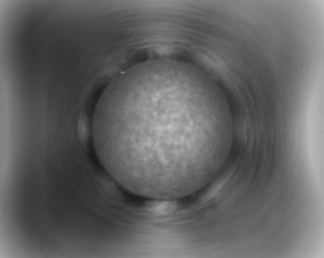 X0000088390135200706051124