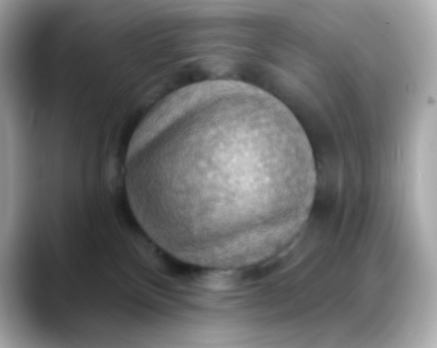 X0000088390136200706051124