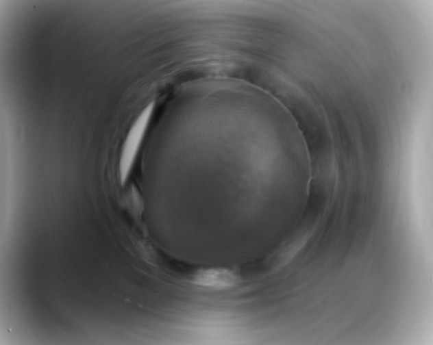 X0000088390137200706051124