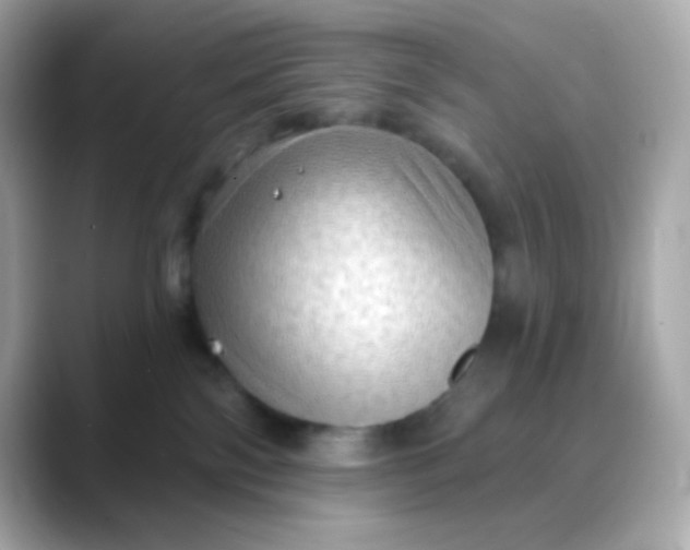 X0000088390138200706051124