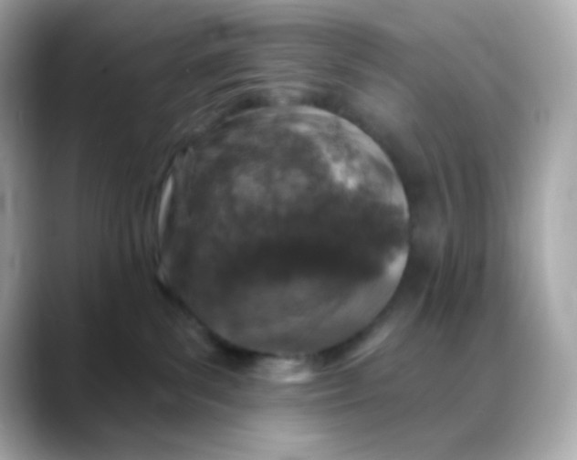 X0000088390139200706051124