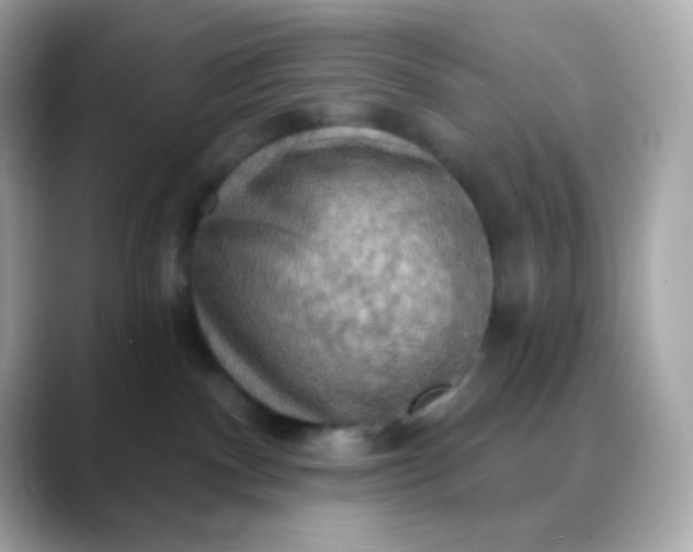 X0000088390140200706051124