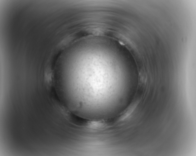 X0000088390141200706051124