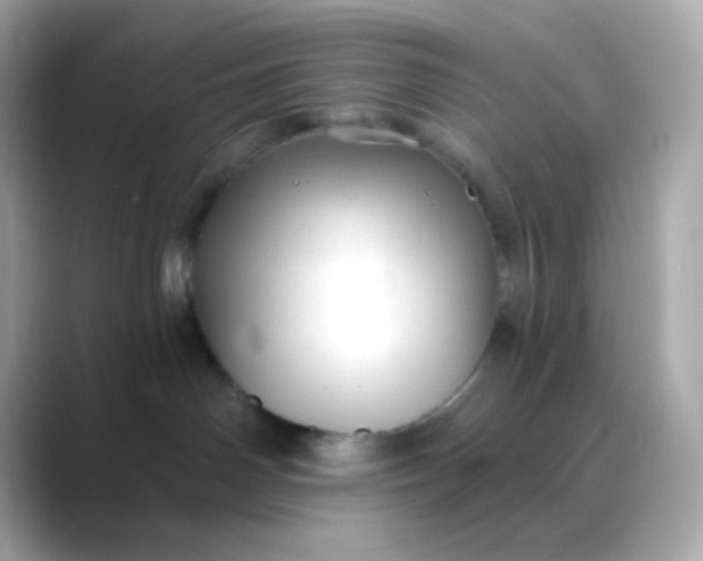 X0000088390142200706051124