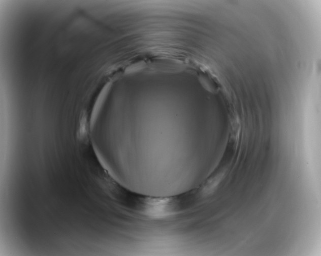 X0000088390143200706051124