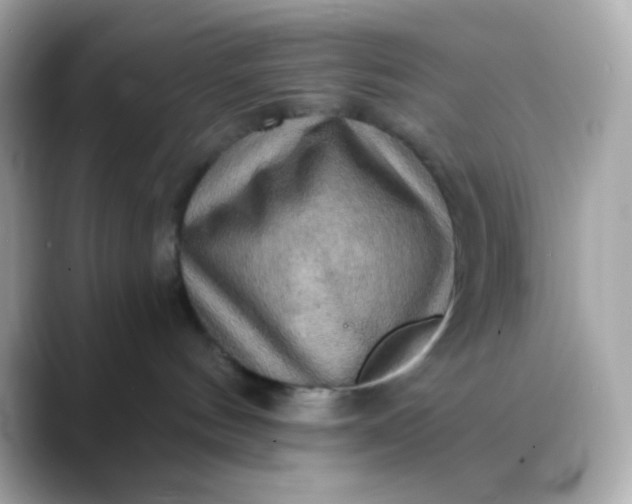 X0000088390144200706051124