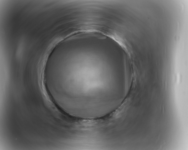 X0000088390145200706051123