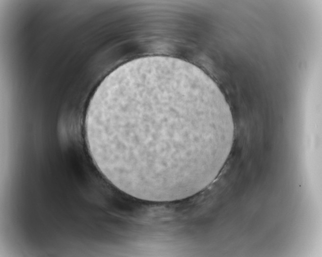 X0000088390146200706051123