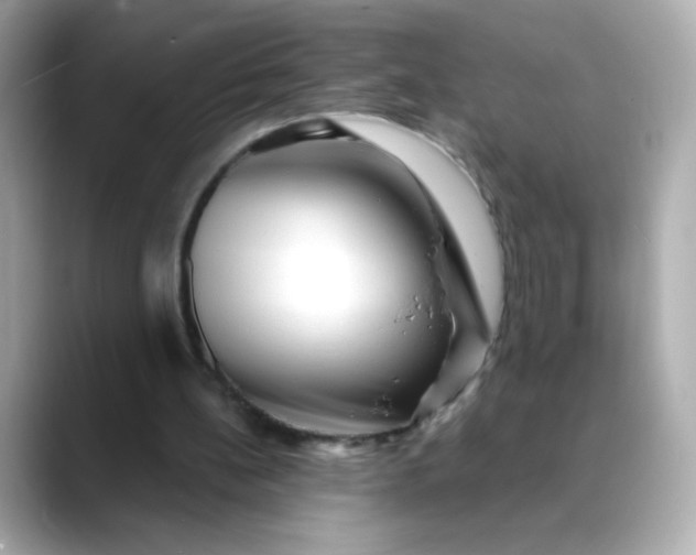 X0000088390148200706051124