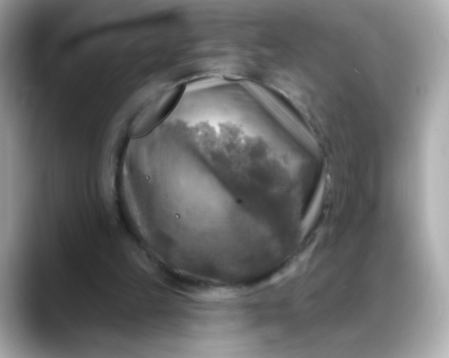 X0000088390149200706051124