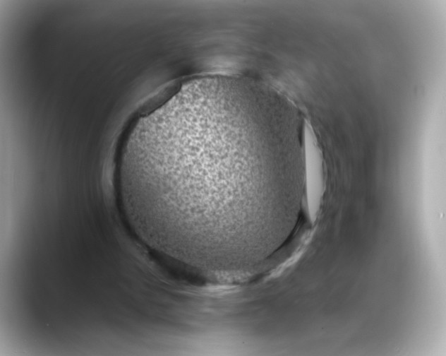 X0000088390150200706051124