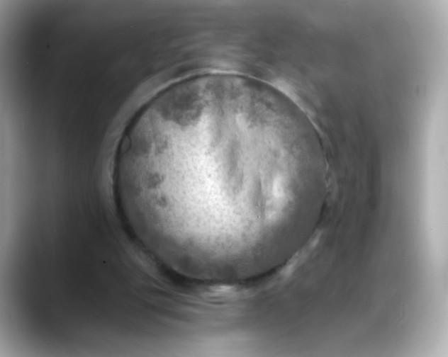 X0000088390151200706051124